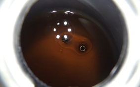 HONDA C50 SUPER CUB C50