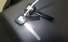 KAWASAKI NINJA1100SX SE 2025 ZXT10H