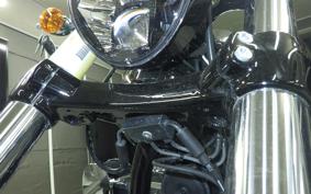 HARLEY FXBR1920 2024