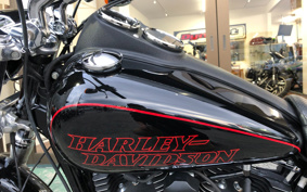 HARLEY FXDL1580 2014 GN4