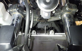 KAWASAKI NINJA 250 2 2019 EX250P