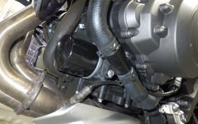 TRIUMPH STREET TRIPLE S 2021