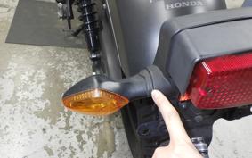 HONDA REBEL 250 2012 MC49