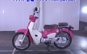 OTHER C110-3