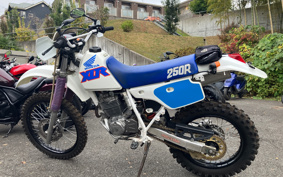 HONDA XLR250R MD22