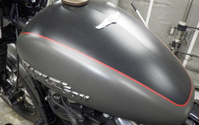 HARLEY FXBB1750 2019