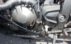 KAWASAKI NINJA ZX-6R A 2019 ZX636G