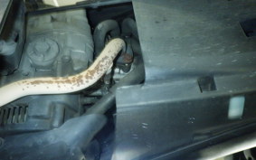 YAMAHA JOG ZR-4 SA56J