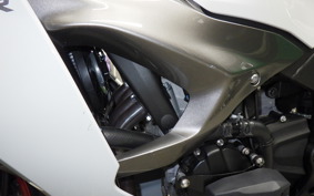 KAWASAKI NINJA ZX-6R A 2025 ZX636J
