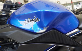 KAWASAKI NINJA 250 ABS EX250L