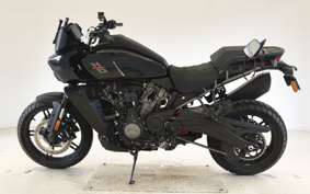 HARLEY PAN AMERICA 1250 2021