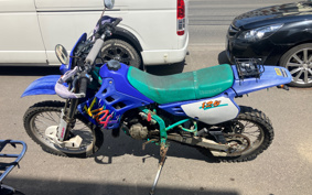 KAWASAKI KDX125 SR DX125A