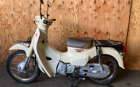 HONDA SUPER CUB50 AA09