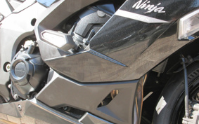 KAWASAKI NINJA 1000 SX 2020 ZXT02K