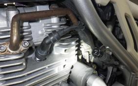 YAMAHA TRICKER DG10J