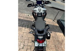 TRIUMPH TIGER 900 RALLY PRO 2025 TRC83D