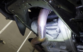 HONDA FORZA 250 2024 MF17
