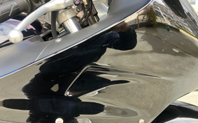 HONDA CBR1100XX 2005 SC35