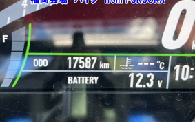 OTHER ZX-4RSE 2023