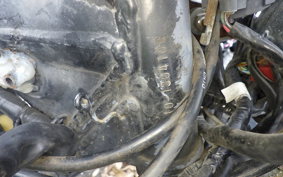 HONDA GB250 CLUBMAN Gen.4 MC10