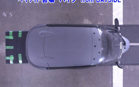 OTHER YELLOW YABENA50