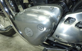 KAWASAKI W800 2019 EJ800A