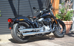 HARLEY  HARLEY FLSTSB 2011 JM5