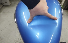 OTHER +ENFIELD ﾒﾃｵ350 2024