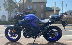 YAMAHA MT-25 RG74J