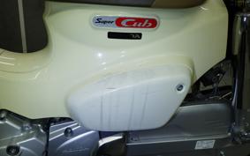 HONDA C50 SUPER CUB AA09