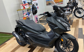 HONDA FORZA 250 MF13