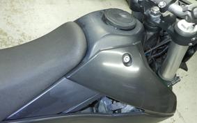 KAWASAKI KLX250D TRACKER X 2025 LX250V