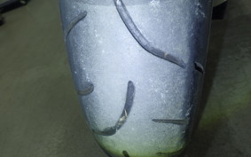 SUZUKI HAYABUSA Gen.2 2011