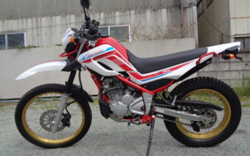 HONDA BENLY 110 JA09
