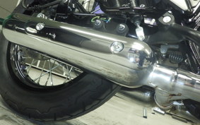 KAWASAKI W800 CAFE 2022 EJ800E