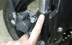 KAWASAKI Z125 PRO 2024 BR125H