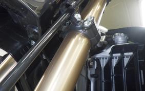 HONDA CRF250L 2024 MD44