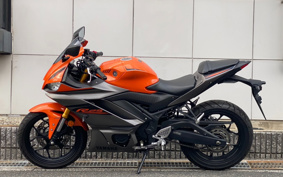 YAMAHA YZF-R25 RG74J