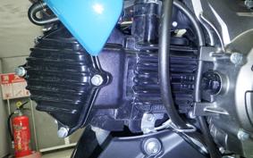 KAWASAKI Z125 PRO 2005 BR125H