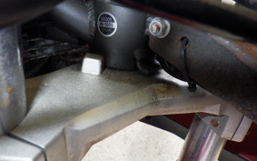 OTHER +ﾒｶﾞﾘ250R