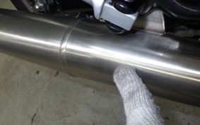 OTHER +BSA GOLDSTAR650 2025