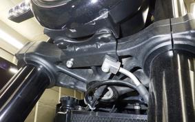 BENELLI レオンチーノ250 2017