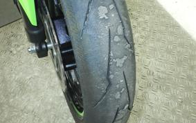 KAWASAKI NINJA 250 SL