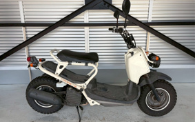 HONDA ZUMAR AF58