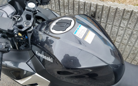 KAWASAKI NINJA 250 EX250P