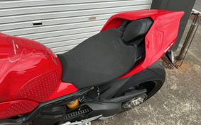 DUCATI PANIGA-REV4S 2021 DA00J