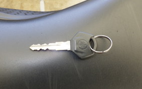 YAMAHA YZF-R25 A RG43J
