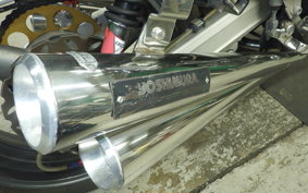 SUZUKI INAZUMA 400 (GSX400) 2004 GK7BA