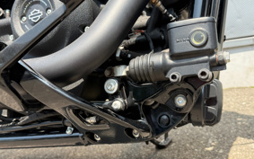 HARLEY FXBBS 2021 YYK