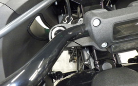 HARLEY FXLRST1920 2024